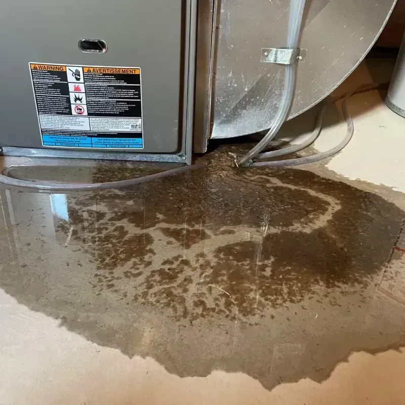 Appliance Leak Cleanup in Richfield, MN